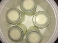 香气浓郁的自制酸奶做法图解5)