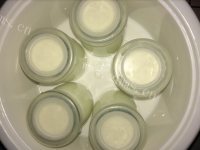 香气浓郁的自制酸奶的做法图解五