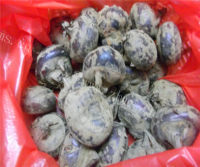 可口的腊肠炒荸荠做法图解1)