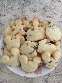 自制蓝莓饼干