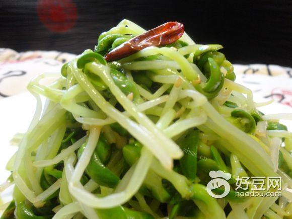 凉拌黑豆苗
