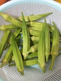 家常菜白灼秋葵做法图解1)