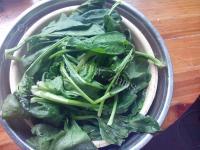 家常菜蒜香菠菜做法图解2)