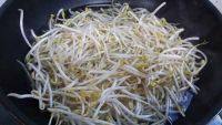 家常菜素炒绿豆芽做法图解2)