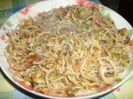 家常菜肉炒绿豆芽