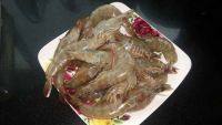 美味的番茄大虾做法图解1)