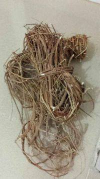 美味的猪横利鸡骨草汤做法图解2)