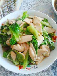 家常菜杏鲍菇炒青菜