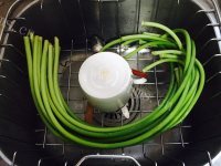 好吃的辣炒蒜薹做法图解2)