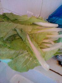 家常菜素炒小白菜做法图解1)