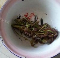 健康美食之香椿芽炒鸡蛋做法图解1)