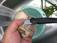 家常荷兰豆炒鲍片做法图解3)