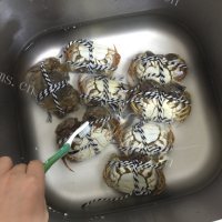 美味的清蒸阳澄湖大闸蟹做法图解4)