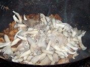 家常菜鲜蘑肉片