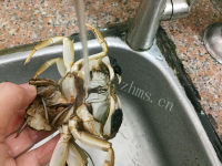 香嫩大闸蟹焖滑鸡做法图解5)
