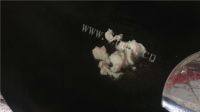 很有食欲的干煸杏鲍菇做法图解6)