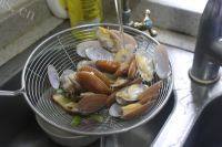 可口的蛤蜊炖蛋的做法图解九