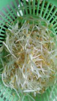 特色美食韭菜炒绿豆芽做法图解2)