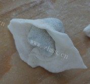 自己做的韭菜鲜肉馄饨做法图解4)