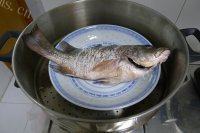 简单的清蒸鲈鱼做法图解5)