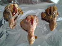 烤鸡腿做法图解4)