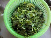 鲜香的凉拌芹菜叶做法图解1)