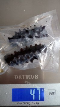 鲜美的发制半干海参做法图解2)