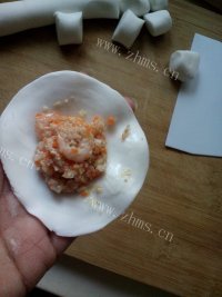 珍馐美味的虾饺做法图解11)