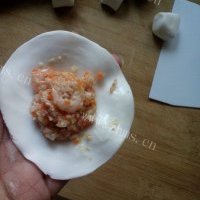 珍馐美味的虾饺的做法图解十一