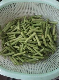 家常菜清炒豆角做法图解1)