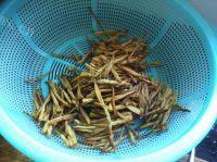 食欲满满的黄花菜炒肉丝做法图解1)