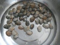 营养丰富的花蛤豆腐汤做法图解1)