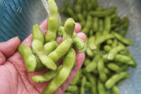 下酒菜糟毛豆做法图解2)
