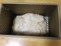色泽鲜亮的淡奶油吐司做法图解5)