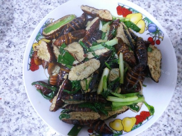 美味营养的干煸蚕蛹