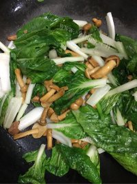 滑子菇炒小白菜做法图解5)