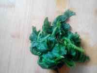 美味的芹菜叶煎饼做法图解4)