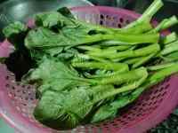家常菜蚝油菜心做法图解2)