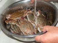 「美味可口」蒸螃蟹的做法图解三