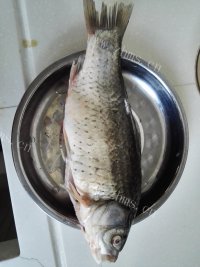 简单版萝卜丝鲫鱼汤做法图解1)