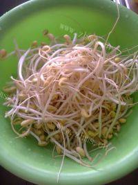 甘脆的清炒豆芽做法图解1)