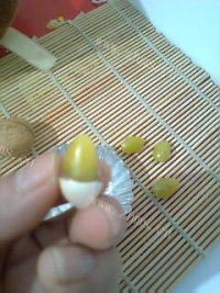 简单的烤白果