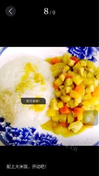 美味的鸡肉咖喱饭