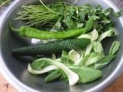 凉拌香菜做法图解1)
