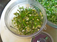 口感极佳的自制韭菜花做法图解3)