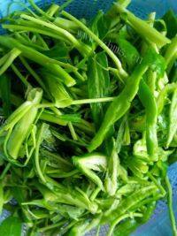 家常菜蒜香空心菜做法图解1)