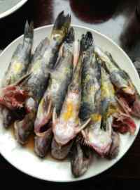 麻辣豆腐黄辣丁做法图解1)