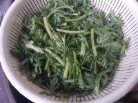 四溢的蒜蓉茼蒿做法图解3)