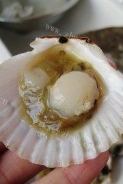美味的蒜茸粉丝蒸扇贝做法图解4)