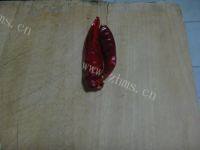 美味炒洋白菜做法图解3)